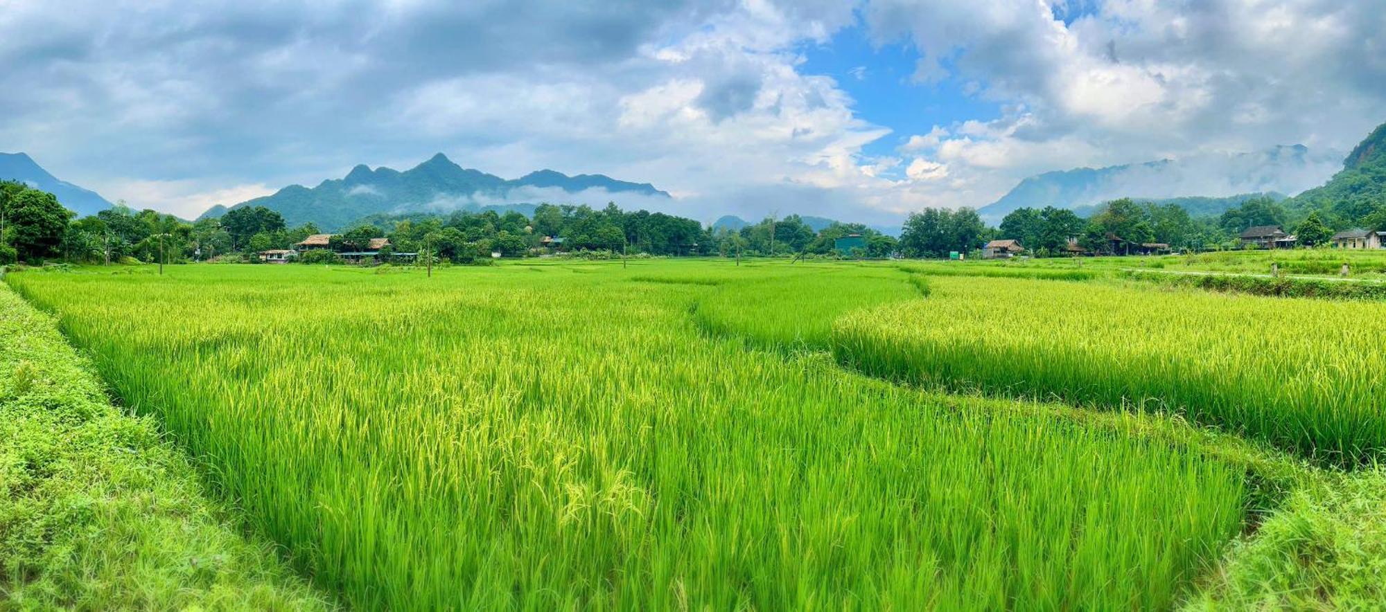 Mai Chau Sky Resort Zewnętrze zdjęcie